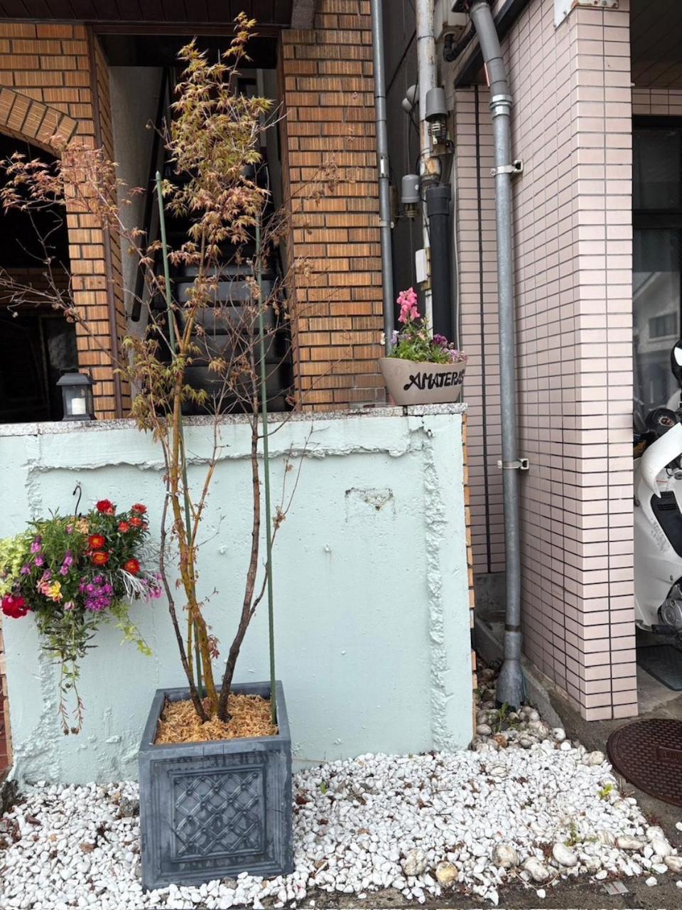 松本 Amaterrace酒店 外观 照片